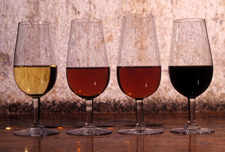 spansk på Studieskolen